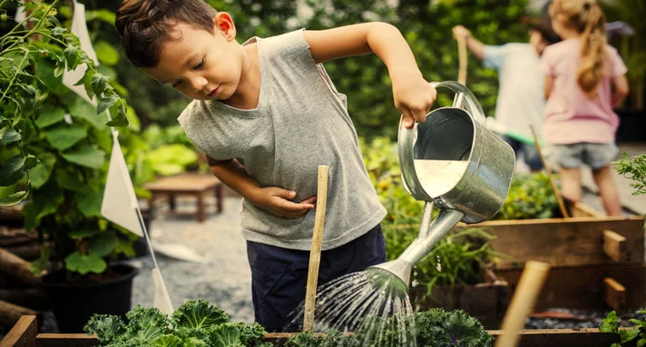 Ein Junge gießt Kräuter im sommerlichen Garten